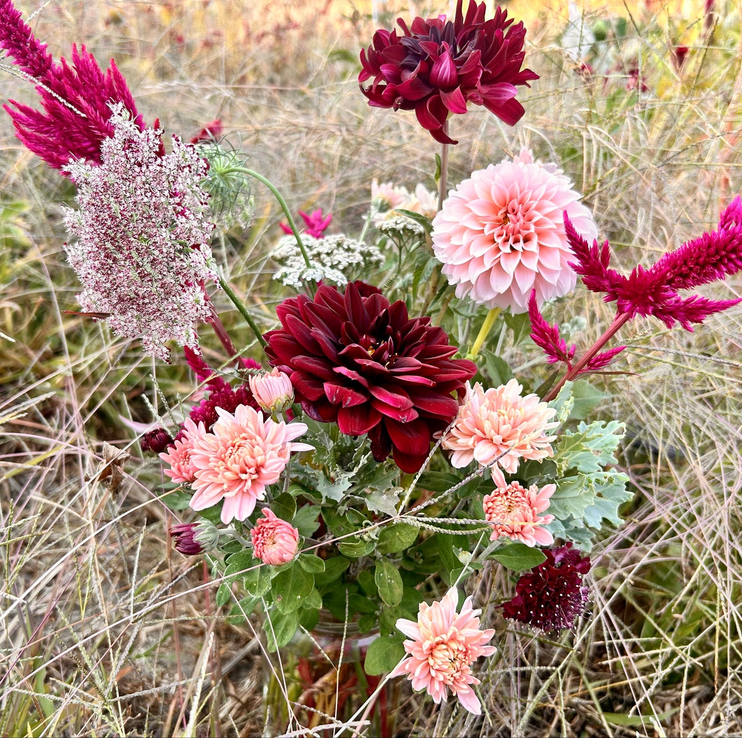 Dahlias 4 Dentistry Bulk Order - Medium Bouquet
