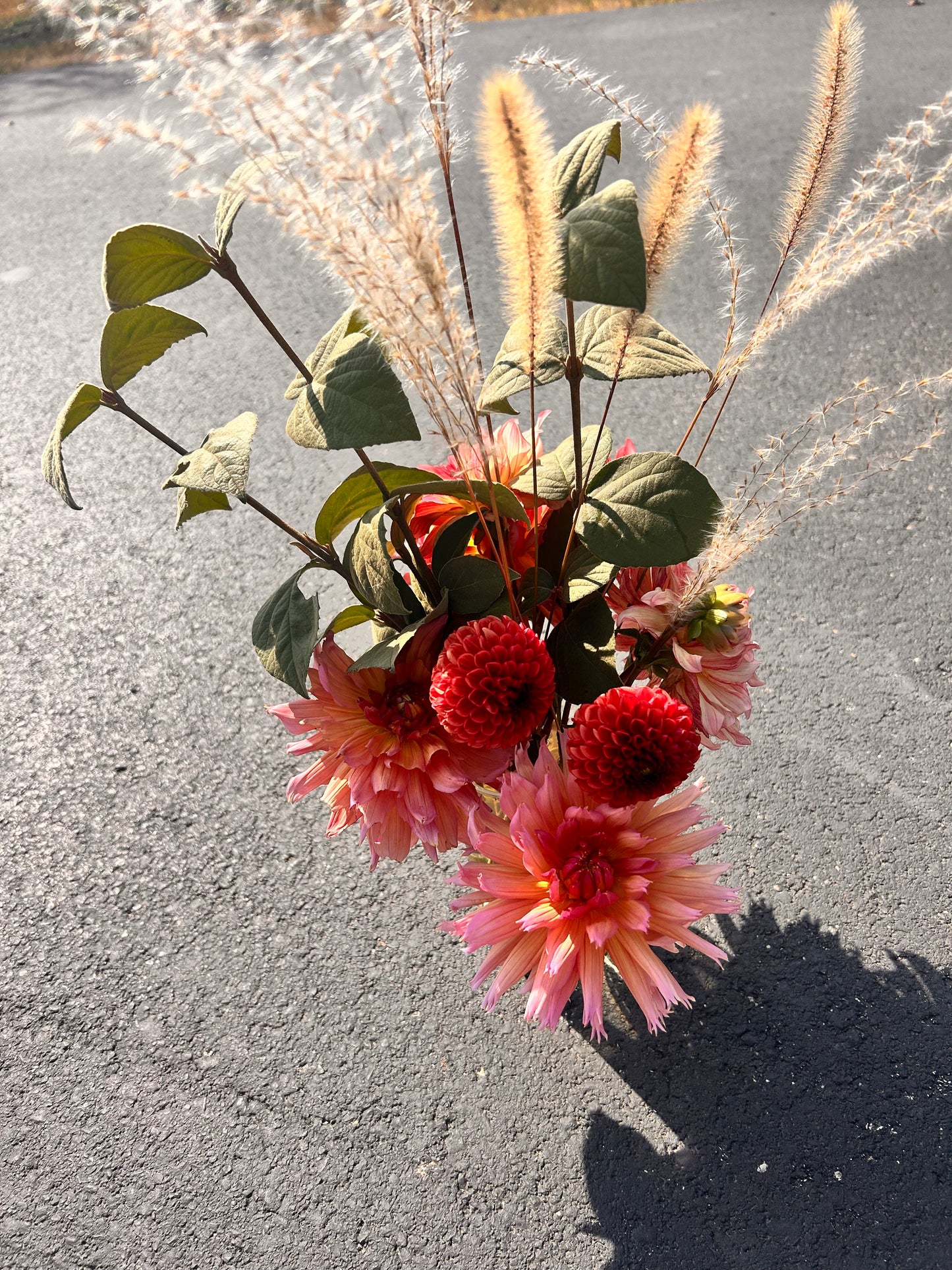 Dahlias 4 Dentistry-Bulk Order