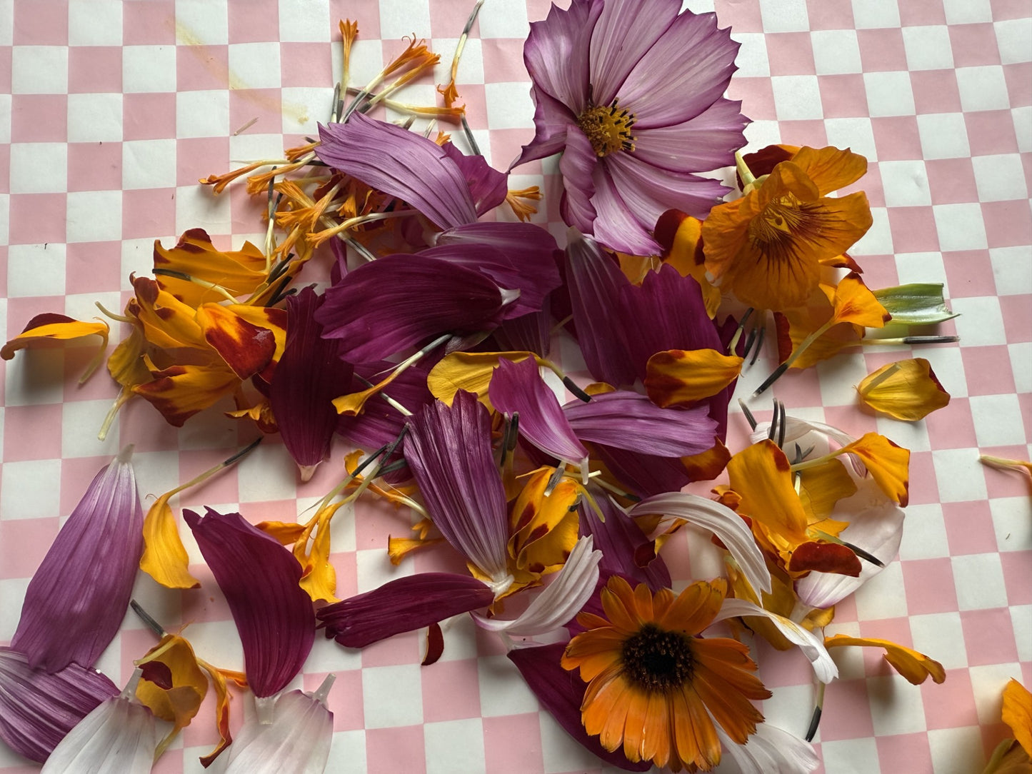 Edible Flowers