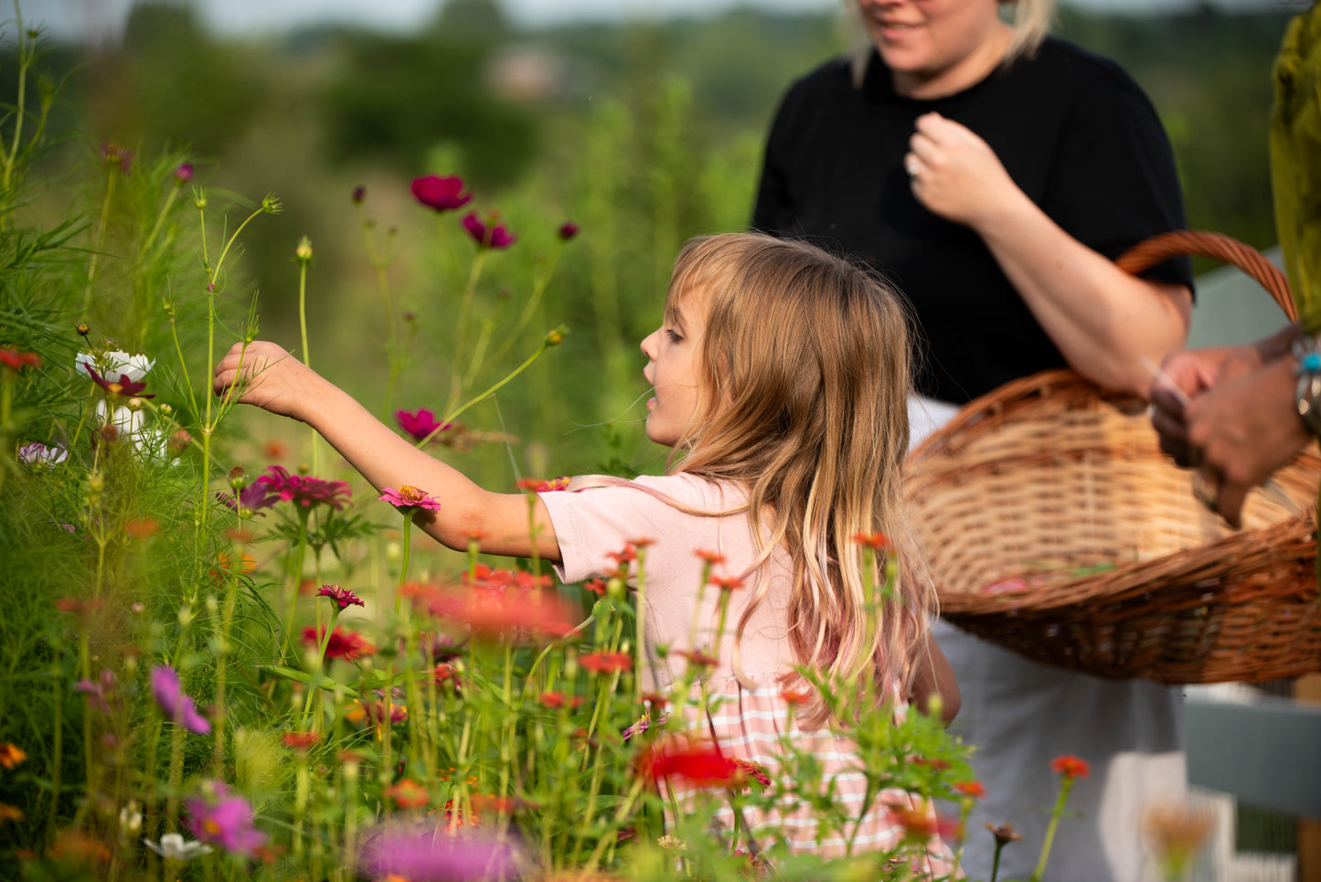 Community Supported Agriculture-Permaculturist (read description for details)