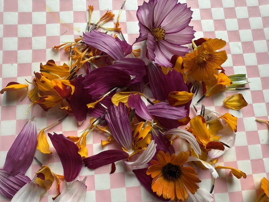 Edible Flowers